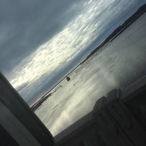 Meet your Posher, Brooklynne